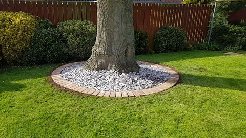 Decoration added around a tree for a customer